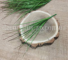 Трава берграс 26см. Зелений з коричневим