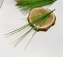 Трава берграс 37 см. Салатова