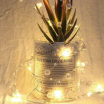 Гірлянда LED Перлини тепле світло 100 світлодіодів 10 м. 42233, фото 3