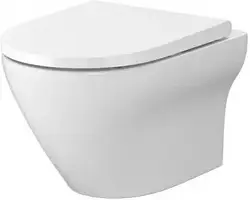 Сантехнічна кераміка для туалету