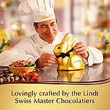 Шоколадний кролик Lindt Dark Chocolate Gold Bunny 100г, фото 9