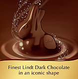 Шоколадний кролик Lindt Dark Chocolate Gold Bunny 100г, фото 4