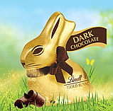 Шоколадний кролик Lindt Dark Chocolate Gold Bunny 100г, фото 2