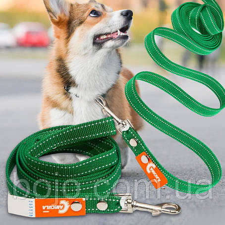 Універсальний повідець №158 із капрону для собак з карабіном для кріплення 20 мм - 2 м, Зелений (2021), фото 1