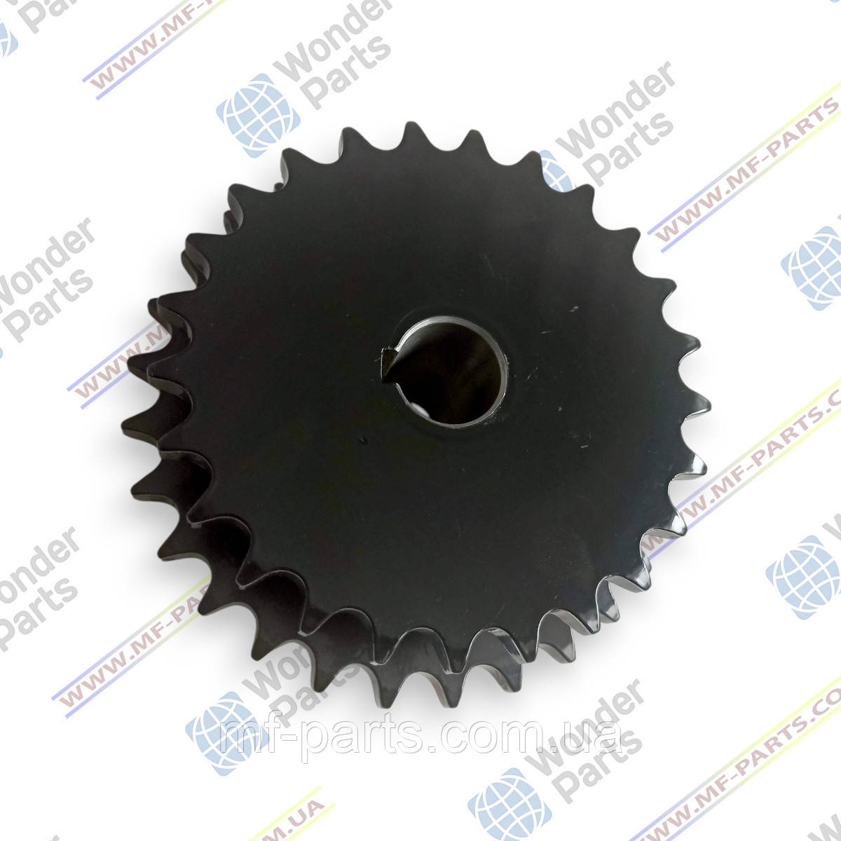 D28580321 зірочка привода елеватора (Z=25+28), АНАЛОГ, виробник WonderParts (EU), комбайн Massey Ferguson, фото 1