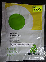 Насіння капусти Анкома F1 (Rijk Zwaan), 2 500 насінин (калібровані) — пізня (120-135 днів), для зберігання.