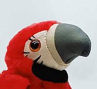 Інтерактивна іграшка-папуга Повторюшка - 18 см, ходить, червоний K14802-1, фото 3