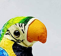 Інтерактивний Папуга - іграшка-повторюшка, 20 см синій C41808-3, фото 3