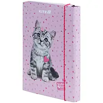 Папка для зошитів В5 Kite Studio Pets картонна SP25-210
