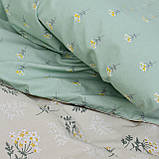 Постільна білизна ранфорс Вілюта 21139 Євро, фото 5