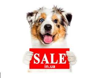 PETS AND HOUSE – турбота про дім і улюбленців з вигодою