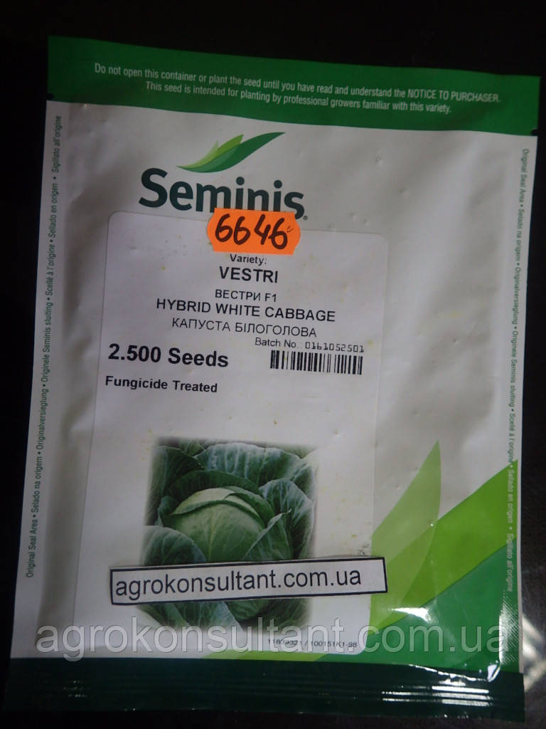 Семена капусты Вестри F1 (Seminis), 2 500 семян среднеспелая (85-95 дней), белокочанная, для квашения - фото 1 - id-p462770272