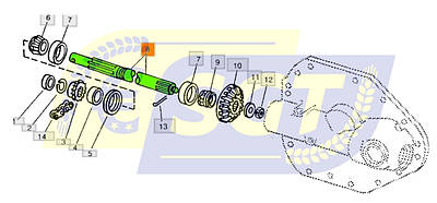 ちー Кільцева ланцюгова зірочка 3/8