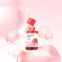 Концентрований серум із колагеном ROUND LAB Camellia Deep Collagen Firming Ampoule, фото 3