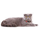 Нашийник нейлон 20-30 см 10 мм Waudog Авокадо на рожевому Nylon Collar для собак та котів, фото 4