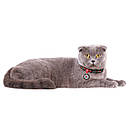 Нашийник нейлон 20-30 см 10 мм Waudog Гранати Nylon Collar для собак та котів, фото 4