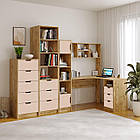 Комод 5 Teenager, високий комод на 5 шухляд Сакура, фото 2