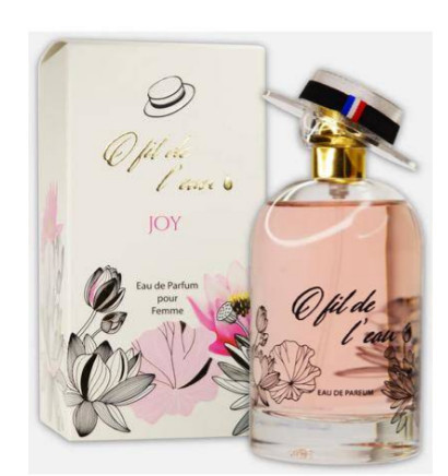 Парфумована вода Dina Cosmetics Fil de l'eau Joy 100 ml (3546200003085), фото 1