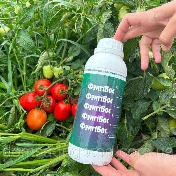 Фунгіцид ФунгіБос Агромакс | Agromax 1 л