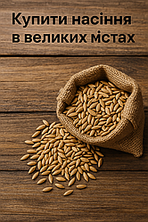 Купити насіння у великих містах