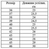 Гелеві устілки для взуття, ортопедичні устілки, анатомічні спортивні стельки 44-46 Hechpro (GL-3846) 31.5, фото 8