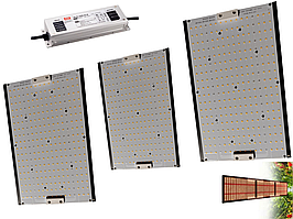 Фітосвітильник Quantum board 320W(LM301H+MeanWell XLG320-HA)