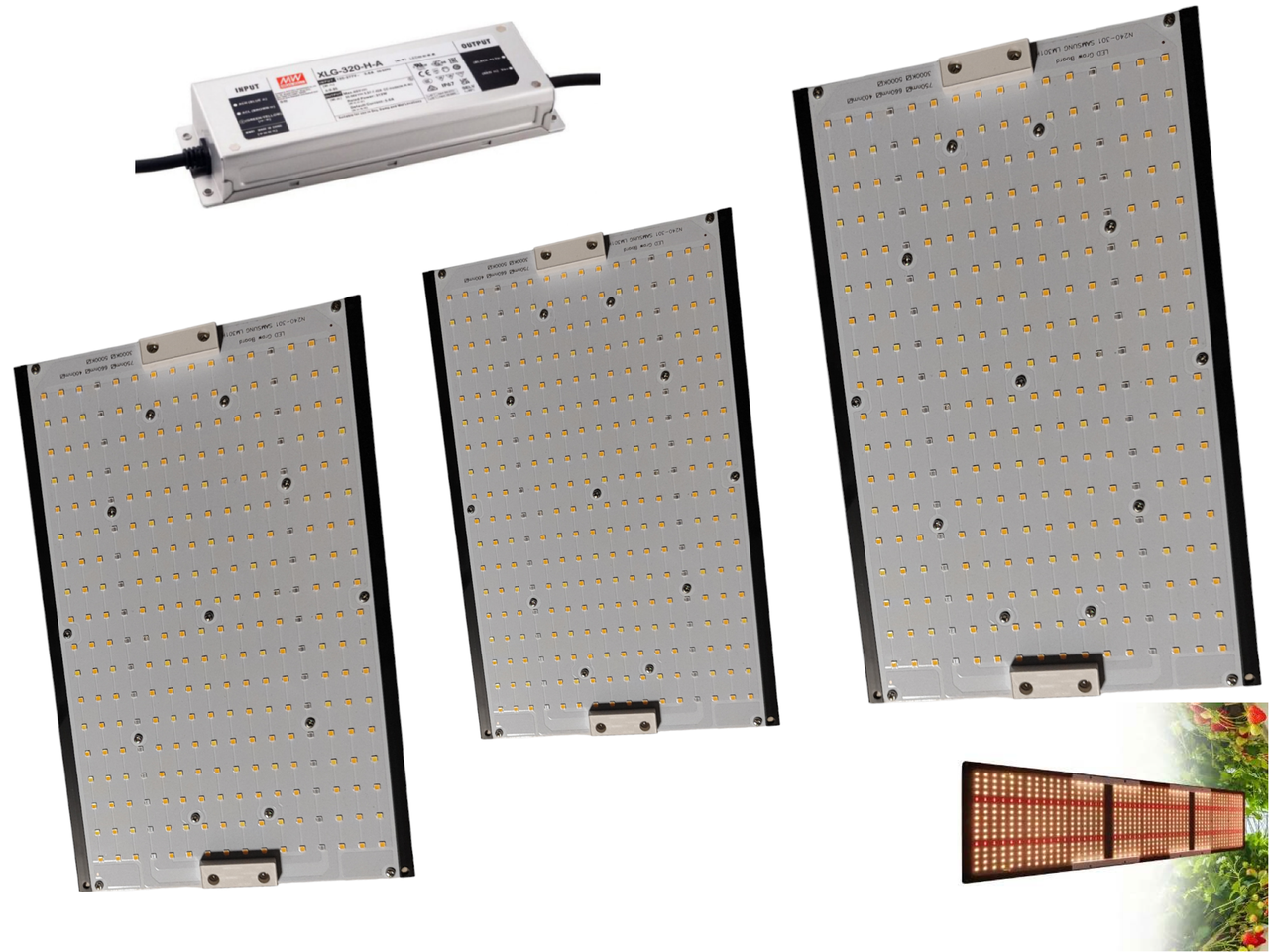 Фітосвітильник Quantum board 320W(LM301H+MeanWell XLG320-HA), фото 1