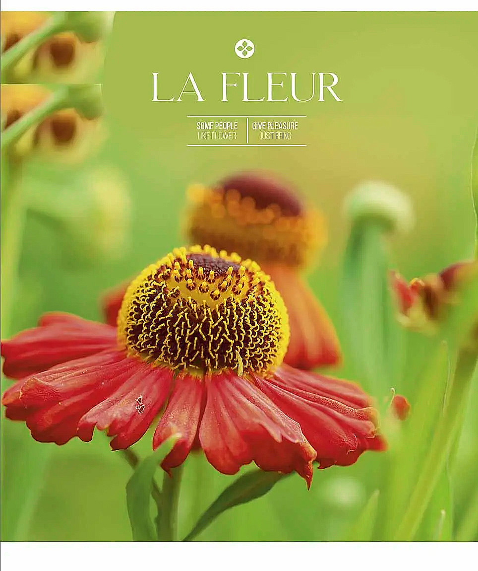 Набір шкільних зошитів А5 на 60 аркушів у клітинку 3 шт., Star "La Fleur" №060-2979K