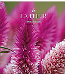 Набір шкільних зошитів А5 на 60 аркушів у клітинку 3 шт., Star "La Fleur" №060-2979K, фото 4