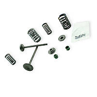 Клапани у зборі Minsk-Viper CG-150 (92mm) (на штовхачах)