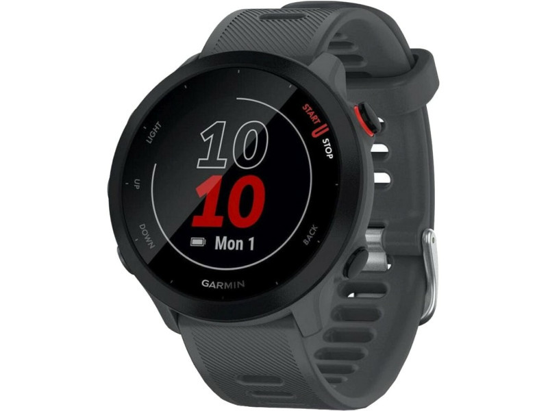 Смарт-годинник Garmin Forerunner 55 Monterra Grey (010-02562-13)
