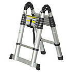 Драбина телескопічна універсальна 12 щаблів 3.8 м FLORA (5033414)