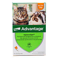 Краплі Еланко Advantage Адвантейдж для котів і кроликів до 4 кг від зовнішніх паразитів