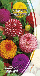 

Семена Георгина помпонная смесь 0,3г Семена Украины