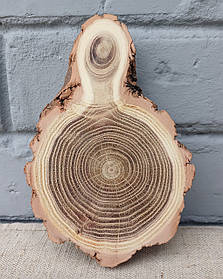 Декоративний спил дерева шліфований d 170х111см.
