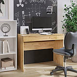 Стіл письмовий Школяр-4, фото 6