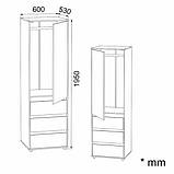 Шафа для офісу Шафа-25, фото 10