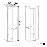 Шафа для офісу Шафа-26, фото 4