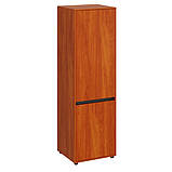 Шафа для офісу Шафа-26, фото 6