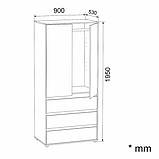 Шафа для офісу Шафа-27, фото 5