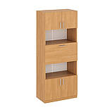 Шафа для офісу Шафа-29, фото 2