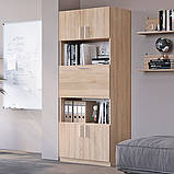 Шафа для офісу Шафа-29, фото 8