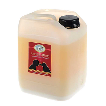 Шампунь для собак і котів, очищающий з глиною Мертвого моря, Iv San Bernard PURIFYING SHAMPOO, 5л