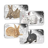 Колекція інвестиційних срібних монет Островів Кука 2011 року, Східний календар: Рік кролика, фото 2