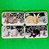 Колекція інвестиційних срібних монет Островів Кука 2011 року, Східний календар: Рік кролика, фото 9