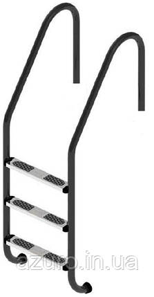 Сходи для басейну Flexinox Standard Nero (3 сходинки) Black, AISI-316L, фото 1