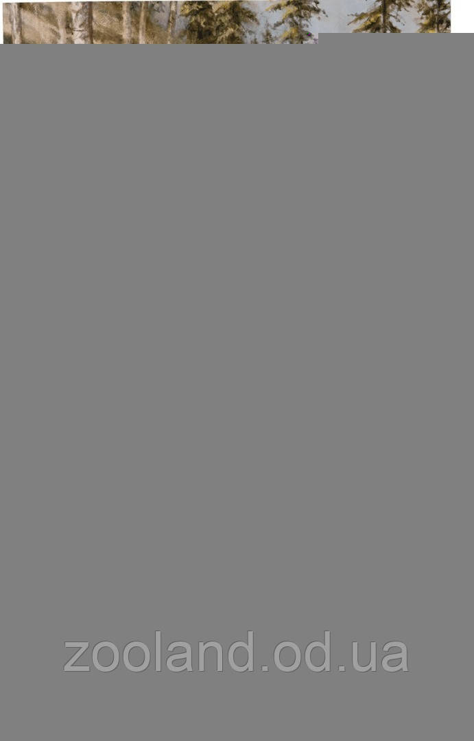 9058-HT18 Taste of the Wild Pine Forest Canine Recipe, 2 кг