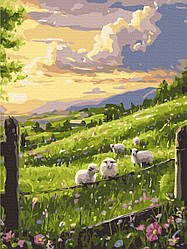 Весна галявина