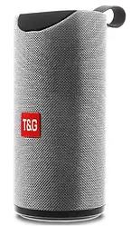 Колонка безпровідна F113 (TG-113) Сіра
