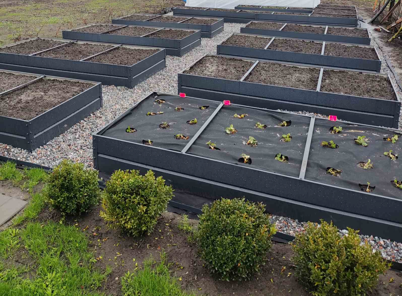 Високі теплі грядки і клумби металеві збірні для саду та городу (висота 24см ширина 1м довжина 2м), фото 1